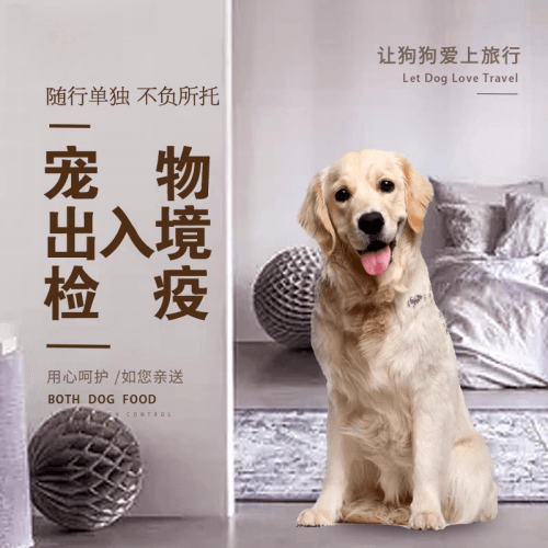 益阳市宠物托运到哥伦比亚猫狗宠物入境规定和