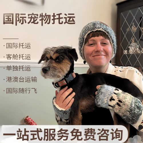 益阳市国际宠物托运到阿根廷宠物入境规定和要