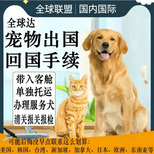 益阳市宠物托运到柬埔寨宠物入境规定和要求