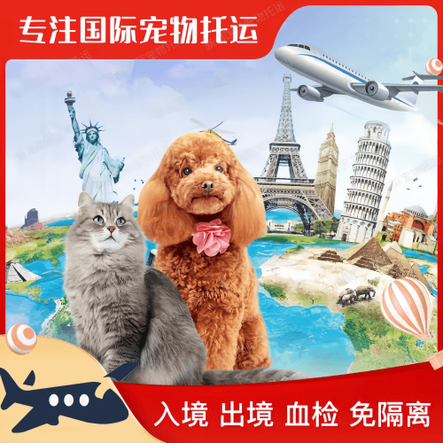 益阳市宠物托运到美国宠物入境最新规定和要求
