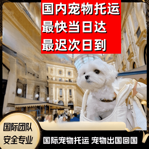 益阳市到澳大利亚（澳洲）宠物入境规定和要求